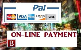 Payment online - paypall